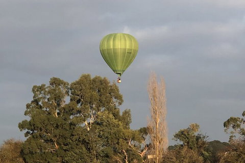 The Studio Yarra Valley - Nambucca Heads Accommodation 5