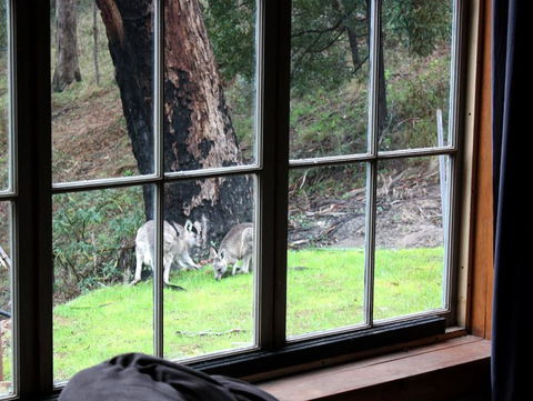 La Boheme Villa - Nambucca Heads Accommodation 6