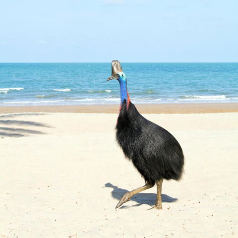 Ocean Serenity - Nambucca Heads Accommodation 3