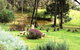Countryside Connections Tranquil Studio - thumb 0
