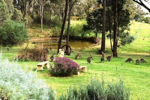 Countryside Connections Tranquil Studio - Nambucca Heads Accommodation 0