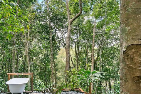 Wanggulay Treetops Cairns City - Nambucca Heads Accommodation 7
