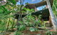 Wanggulay Treetops Cairns City - thumb 3