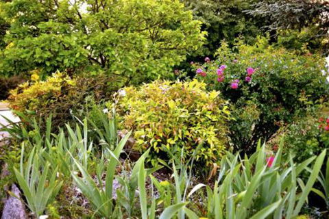 The Glasshouse Boutique Accommodation - Nambucca Heads Accommodation 6