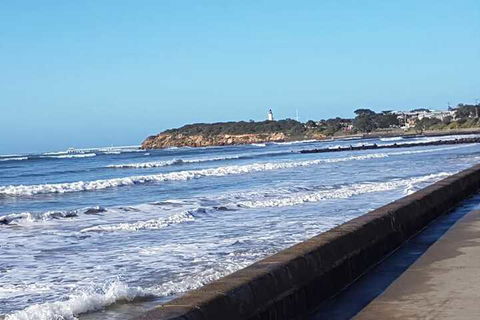 Springtide Studio Apartments - Nambucca Heads Accommodation 2