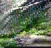 Lemonade Creek Cottages - Nambucca Heads Accommodation