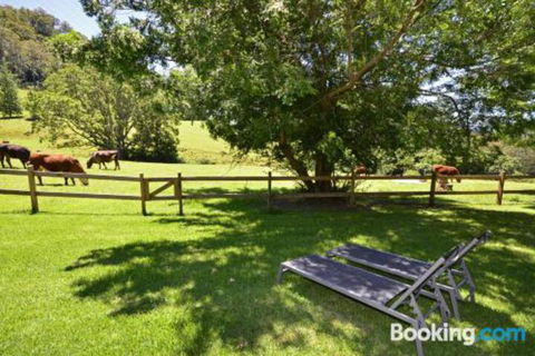 Secrets At Cedar Grove - Nambucca Heads Accommodation 2