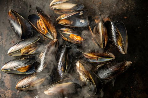 MoVida Next Door - Nambucca Heads Accommodation 0