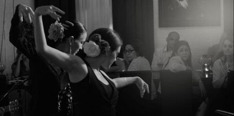 Alegrias Spanish Tapas - Nambucca Heads Accommodation 26