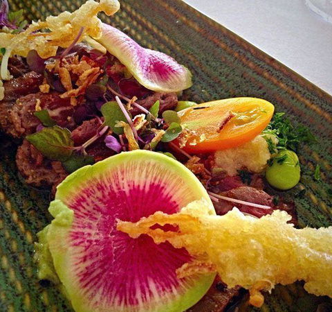 Superdish - Nambucca Heads Accommodation 18
