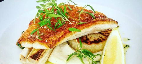 Superdish - Nambucca Heads Accommodation 2