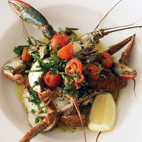Superdish - Nambucca Heads Accommodation 7