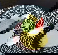 Sandringham Club - Nambucca Heads Accommodation