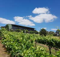 Traralgon Vineyard - Nambucca Heads Accommodation