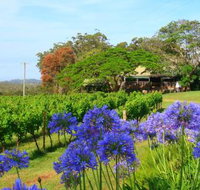 Little Fish Cafe - Nambucca Heads Accommodation