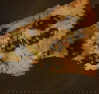 Zannies Pizzas - Nambucca Heads Accommodation