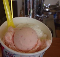 Bermagui Gelati Clinic - Nambucca Heads Accommodation