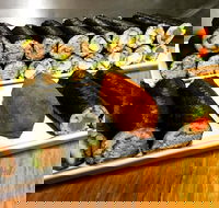 Freewave Sushi  Burgers - Nambucca Heads Accommodation