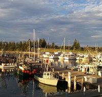 Horse  Camel - Nambucca Heads Accommodation