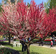 Mirchi Indian Cuisine - Nambucca Heads Accommodation