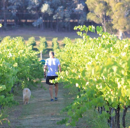 Capital Country NSW Nambucca Heads Accommodation