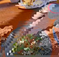 Painted Horse Cafe - Nambucca Heads Accommodation