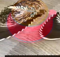 Two Sparrows Coffee  Kitchen - Nambucca Heads Accommodation