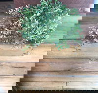 Double Mac - Nambucca Heads Accommodation