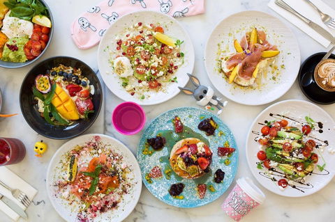 The Rosey Rabbit - Parramatta - Nambucca Heads Accommodation 0