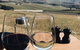 Bankvale Run At Marnong Estate - thumb 0