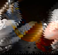 Hope Estate Brewery - Nambucca Heads Accommodation