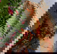 Cafe on Johnston - Nambucca Heads Accommodation