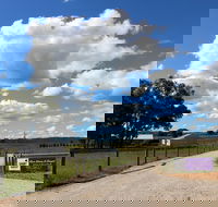 Short Sheep Micro-Winery - Nambucca Heads Accommodation