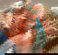 On Shore - Nambucca Heads Accommodation