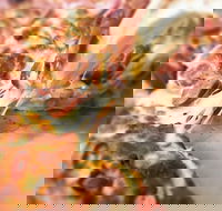 Pizza Rustica - Nambucca Heads Accommodation