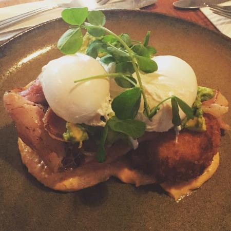 A Fan's Notes - Nambucca Heads Accommodation 0