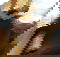 Kunara Organic Cafe - Nambucca Heads Accommodation