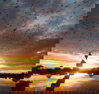 Old Lodge Gallery Emporium and River Cafe - Nambucca Heads Accommodation