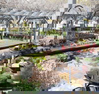 Restaurant Eighty Eight - Nambucca Heads Accommodation