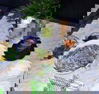 Coffee Villa - Nambucca Heads Accommodation