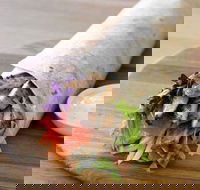 Pasta Pantry - CBD - Nambucca Heads Accommodation