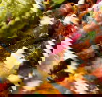 The Fancy Banger - Nambucca Heads Accommodation