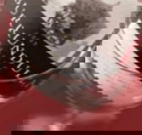 Burrundulla Vineyards - Nambucca Heads Accommodation