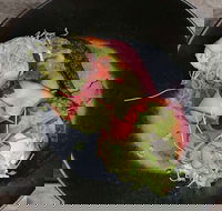 Crowded House - Nambucca Heads Accommodation