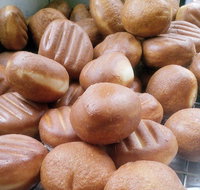 Hot Doughnuts - Nambucca Heads Accommodation