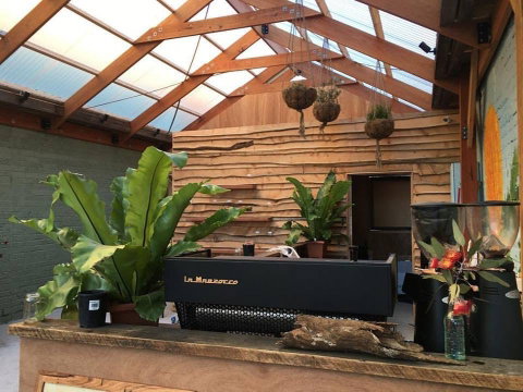 Native Home, House Of Plants - Nambucca Heads Accommodation 0