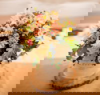 Birdies on Bent - Nambucca Heads Accommodation