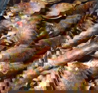 Pacific Eats - Nambucca Heads Accommodation