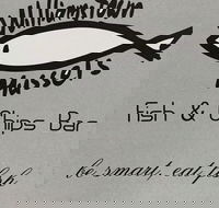 Williamstown Mussels - Nambucca Heads Accommodation