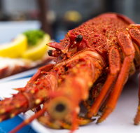 Freycinet Marine Farm - Nambucca Heads Accommodation